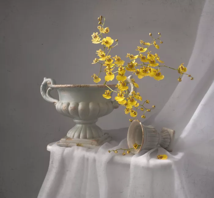 Perfoncio, Margareth: Golden rain