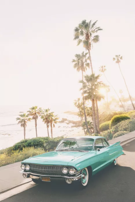 Pienaar, Kathrin: Malibu Classic