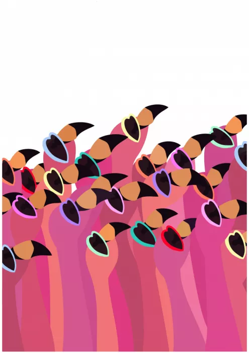 Manovski, Sarah: Flock flamingo white
