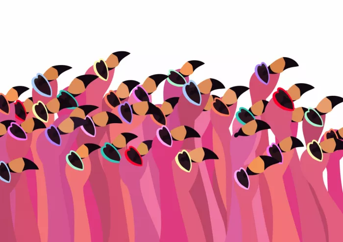 Manovski, Sarah: Flock flamingo white