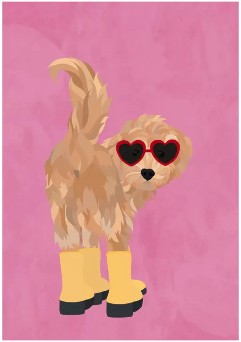 Manovski, Sarah: Cockapoo in wellies