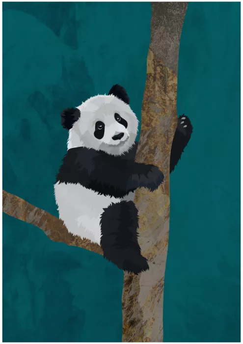 Manovski, Sarah: Panda