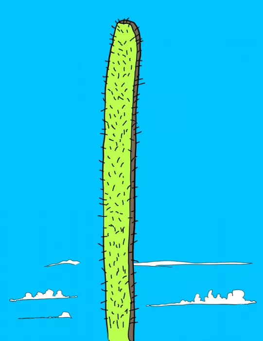 Nicholas: Cactus alto sotto un cielo