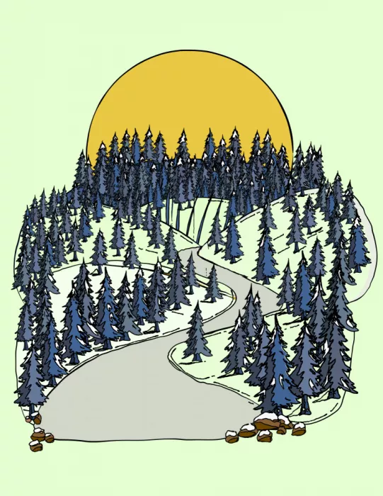 Nicholas: Sendero boscoso iluminado por el sol