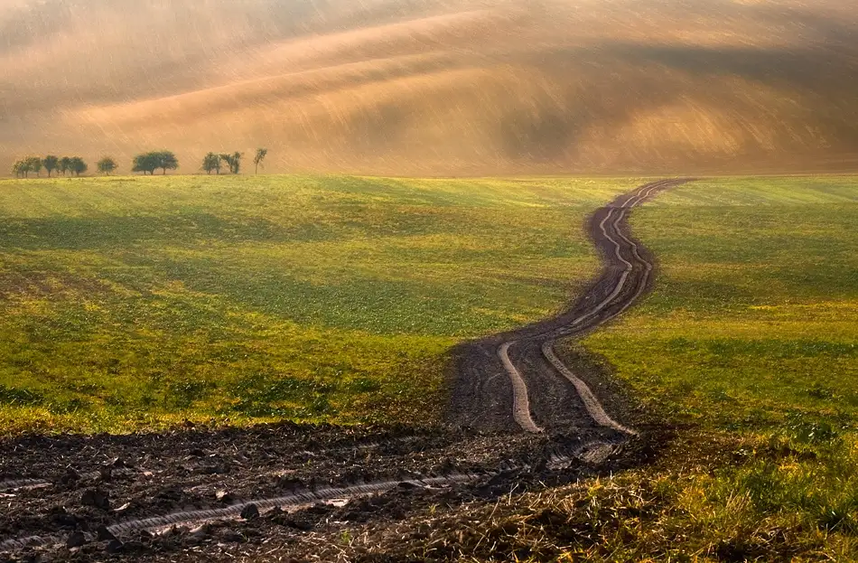 Browko, Krzysztof: Strada verso il nulla...