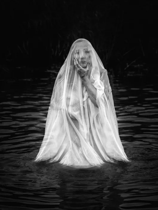 Dixon, Colin: La Dama del lago