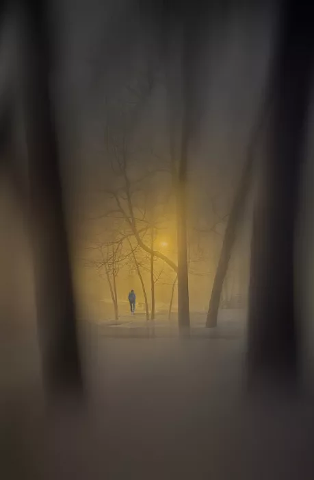 larryliu: The night fog