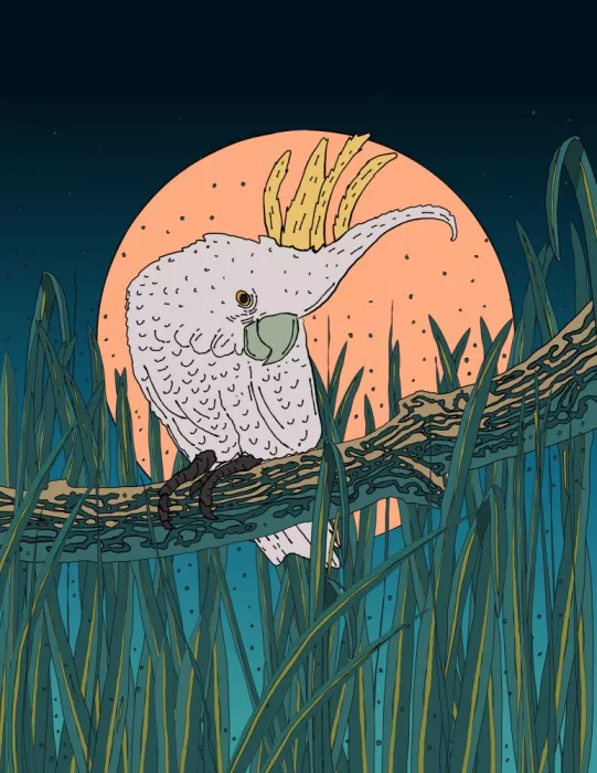 Nicholas: Bajo la luna vigilante