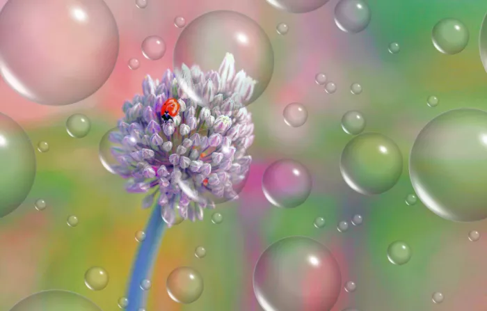 Dufour, Thierry: The world of the ladybug...