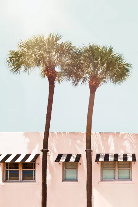 Pienaar, Kathrin: Hotel Miami
