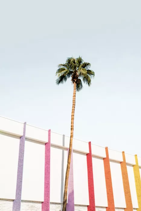Pienaar, Kathrin: Palm Spring Colors 2