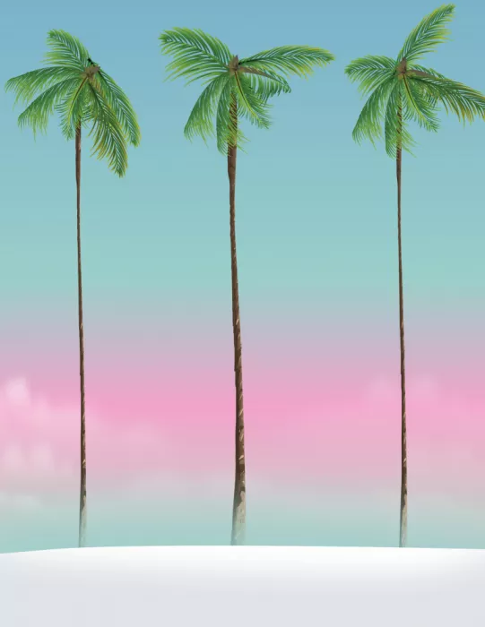 Nicholas: Verso Miami