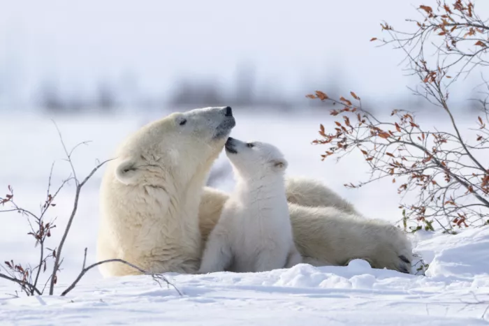 Qin, Xuemei: Heartfelt Moment