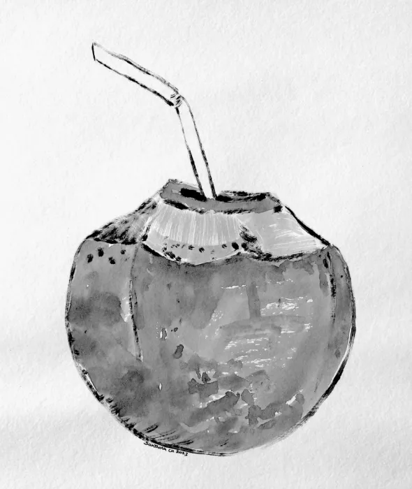 ch, Santhosh: Coconut Refreshment