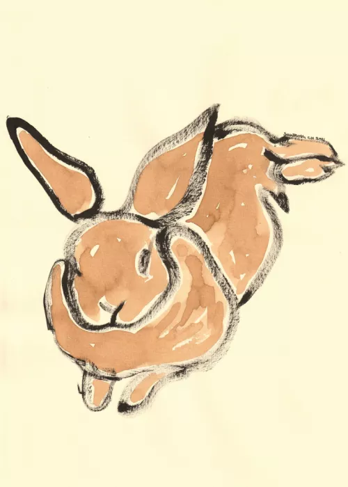 ch, Santhosh: Gentle Bunny Leap