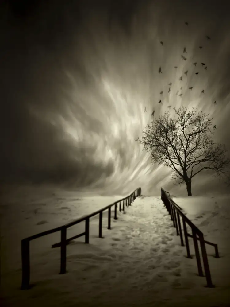Senechal, David: Stairs To The Sanctuary