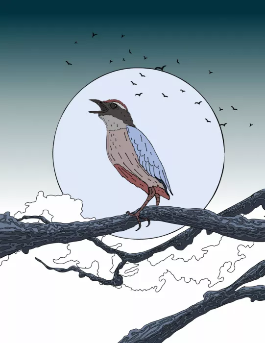 Nicholas: Uccello su ramo in notte di luna