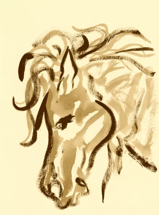 ch, Santhosh: Pferdehafte Eleganz