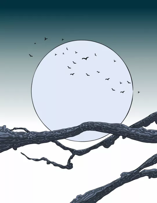Nicholas: Luna piena e uccelli in volo in silhouette