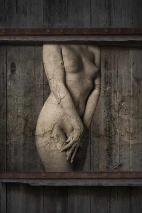 Donckers, Jan: Desnudo sobre madera