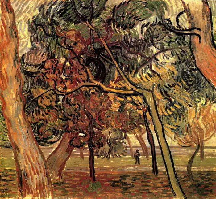 Gogh, Vincent van: Studie borovic