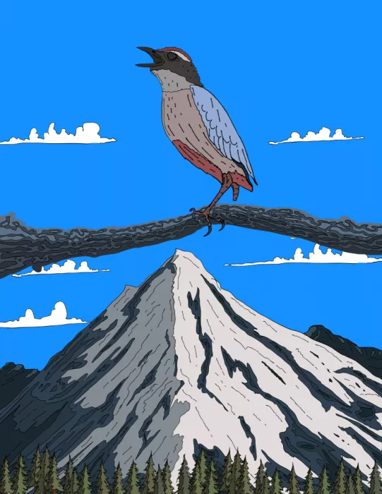 Nicholas: Pájaro cantante en la cima de la montaña