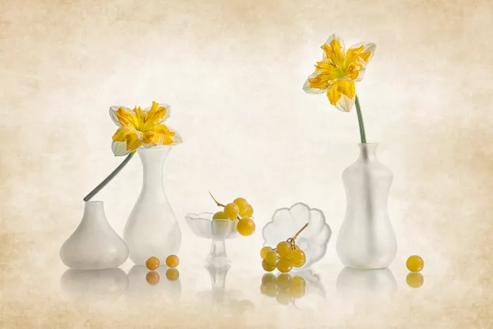 Jacobs, Lydia: Narciso e Uva