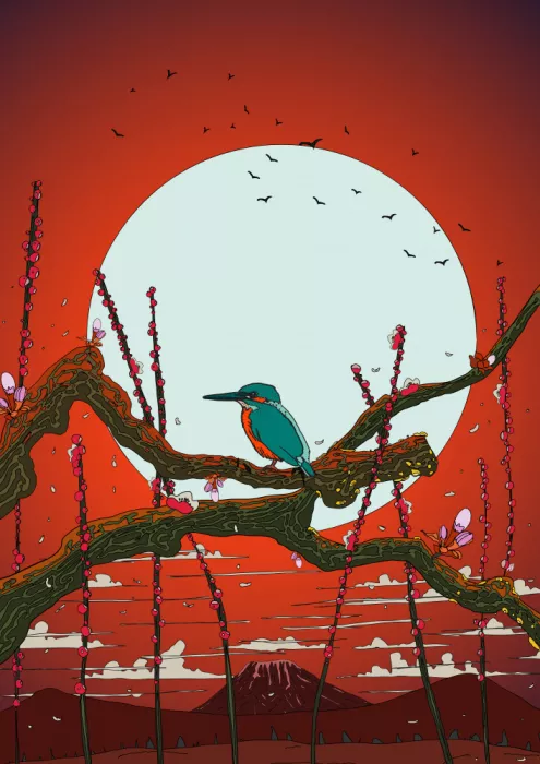 Nicholas: Martin pescatore al tramonto