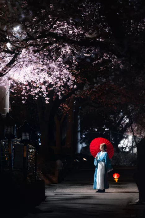 I_ha__to: Sakura