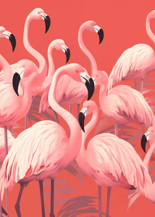 Magnusson, Andreas: Lebendige Rosa Flamingos
