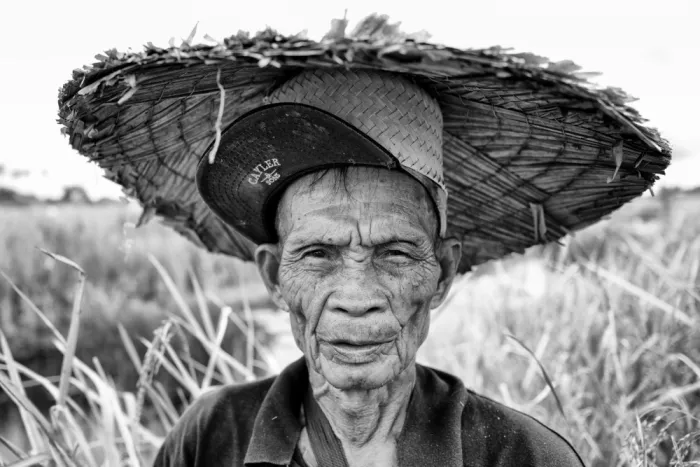 Long, Kieron: Jambu