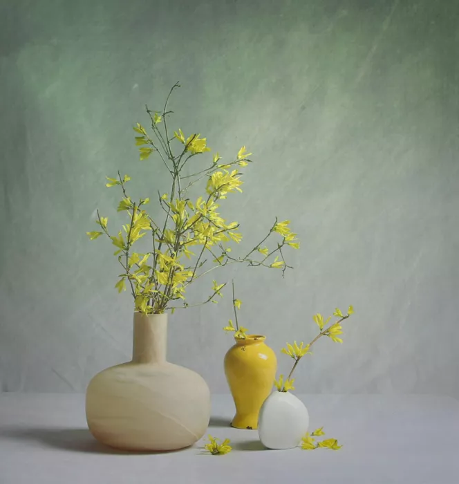 Zhou, Fangping: Forsitia en Flor
