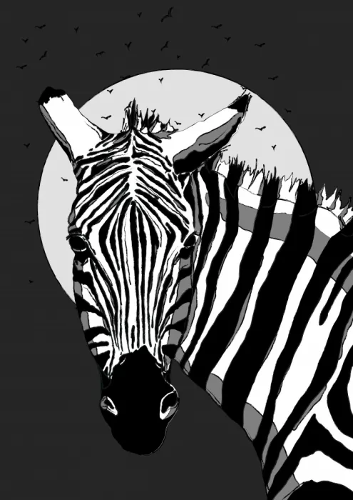 Nicholas: Zebrastreifen