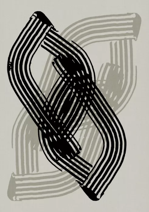 cartissi: Curvas abstractas en negro y gris