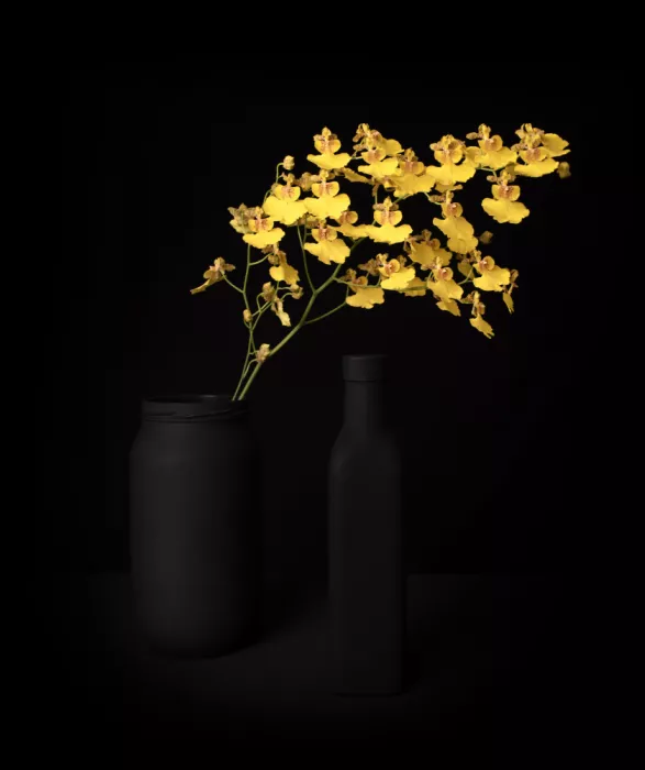 Perfoncio, Margareth: Contrast