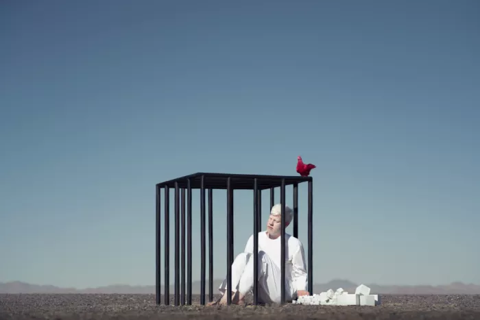 Torabi, Hasan: Ohne Titel