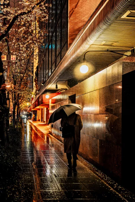 Fujii, Yuzo: Nihonbashi Tokyo