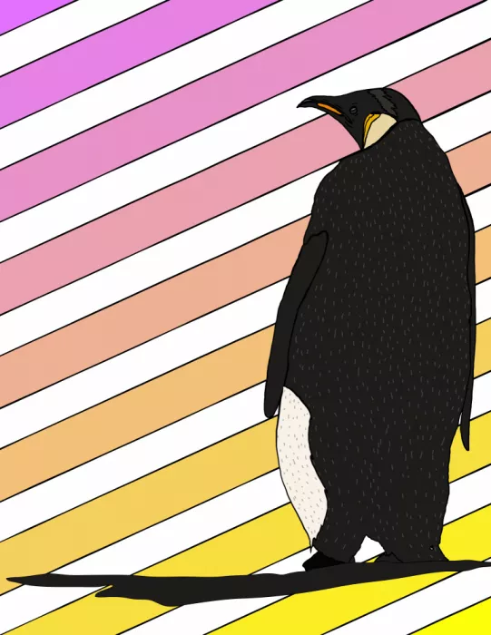 Nicholas: Un pingüino vibrante
