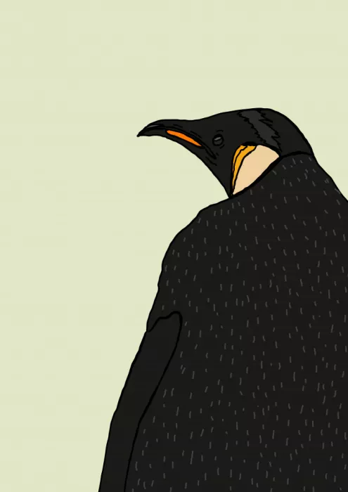 Nicholas: Pinguino Imperatore