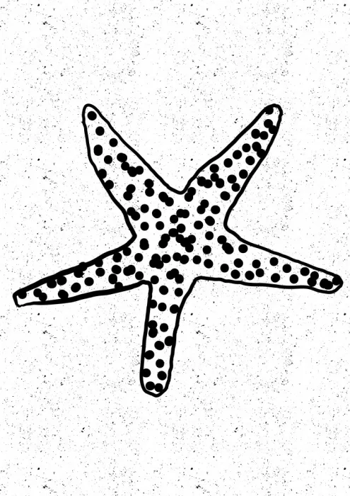 Nicholas: Stella marina punteggiata in bianco e nero