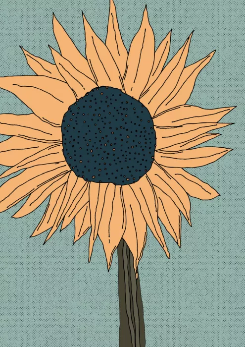 Nicholas: Girasol estilizado