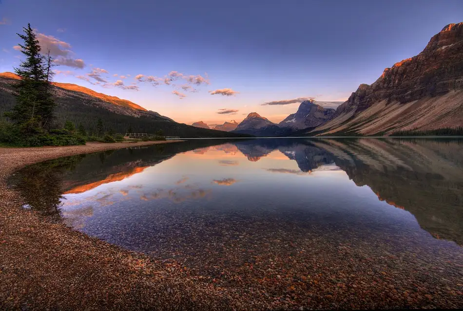 Eichelberg, Amnon: reflection