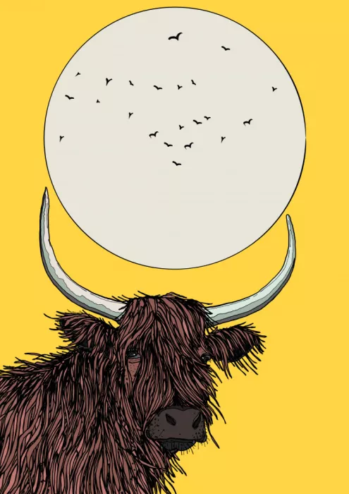 Nicholas: Vaca de las Tierras Altas