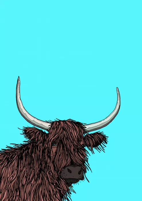 Nicholas: Vaca de las Tierras Altas escocesas