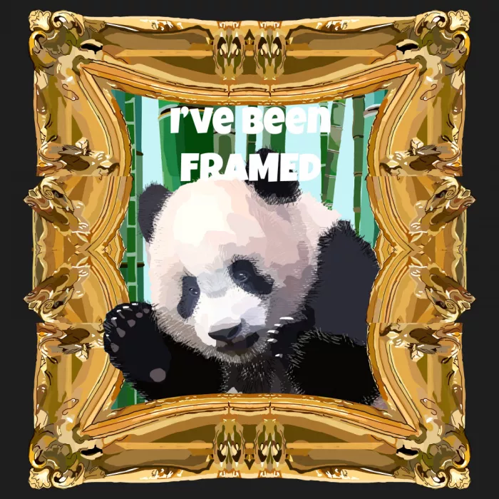 Rakos, Lynnda: I've Been Framed