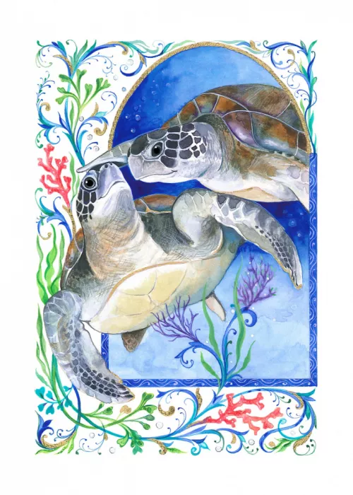 Brent, Isabelle: Tortugas de aguas profundas
