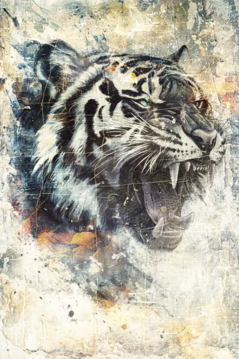 Kulik, Rafal: Tigre Art Animalier Illustration 09