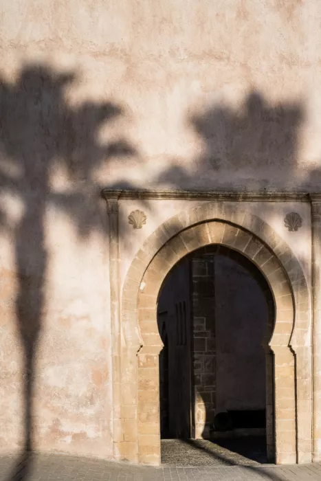 Photolovers: Sombra de una palmera en Marruecos