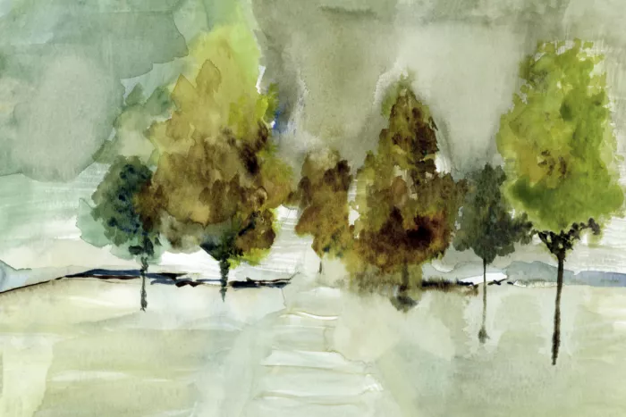 cartissi: Bosques susurrantes