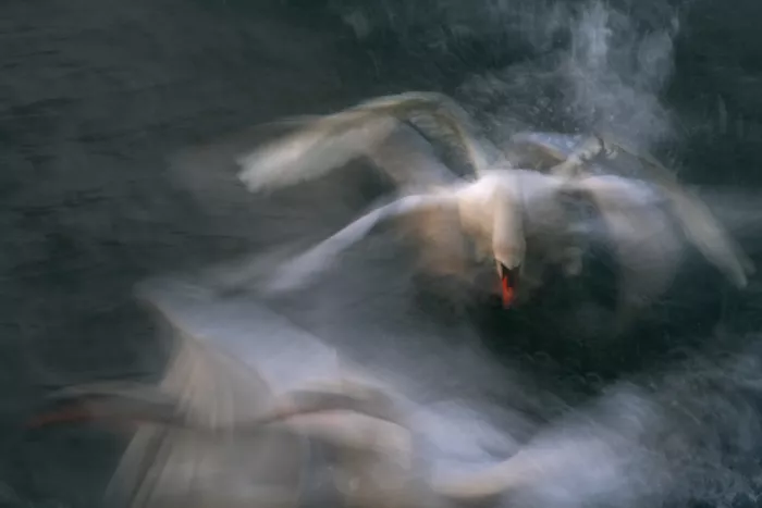 Malovrh, Milan: Ohne Namen